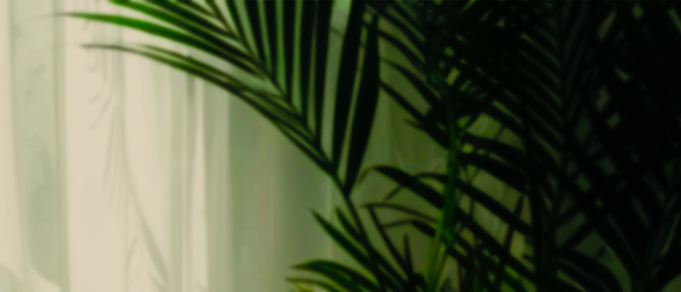 料金メニューイメージ